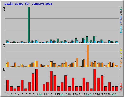 Daily usage for January 2021