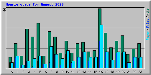 Hourly usage for August 2020