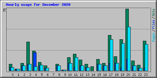 Hourly usage for December 2020